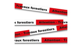 Rubalise " Attention - Travaux forestiers"